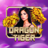 Dragon Tiger okfun app live casino game